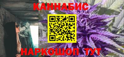 прущие грибы Будённовск