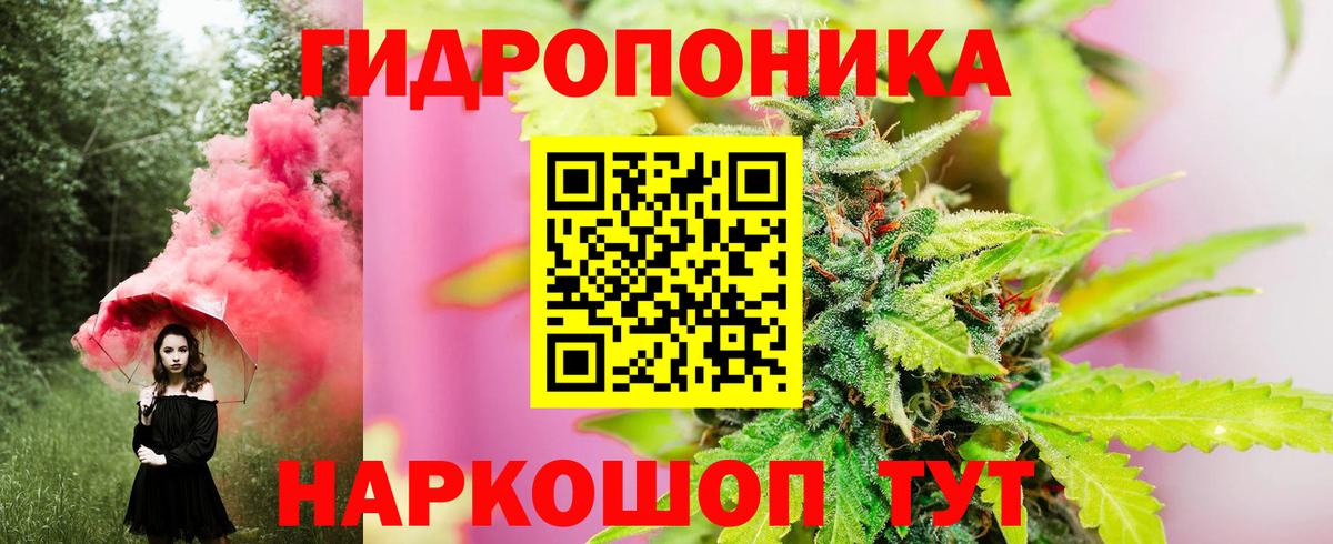Канабис Amnesia  Каннабис планчик  Обь  Каннабис LSD WEED  Вход с VPN 